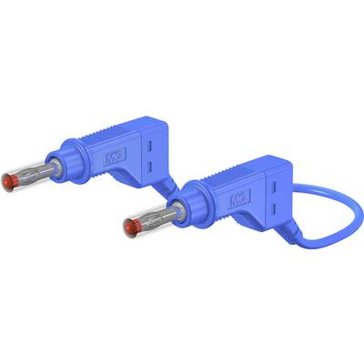 Zwei blaue Stromstecker mit rotem Steckkontakt, die in einer Schutzvorrichtung eingebaut sind, verbunden durch ein blaues Kabel.
