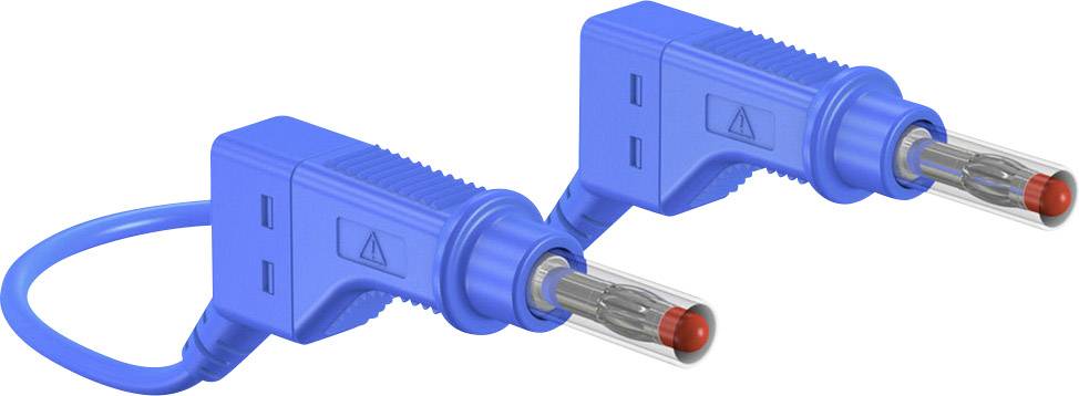 Zwei blaue, elektrische Prüfsonden mit Isolierung und Metallspitzen, verwendet für elektrische Tests und Sicherheitsüberprüfungen.