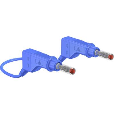 Zwei blaue, elektrische Prüfsonden mit Isolierung und Metallspitzen, verwendet für elektrische Tests und Sicherheitsüberprüfungen.