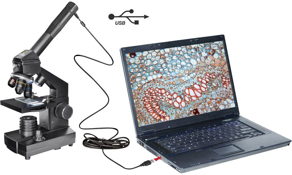 'Ein USB-Mikroskop, das mit einem Laptop verbunden ist. Auf dem Laptopbildschirm ist ein vergrößertes, farbenfrohes biologisches Muster zu sehen.'