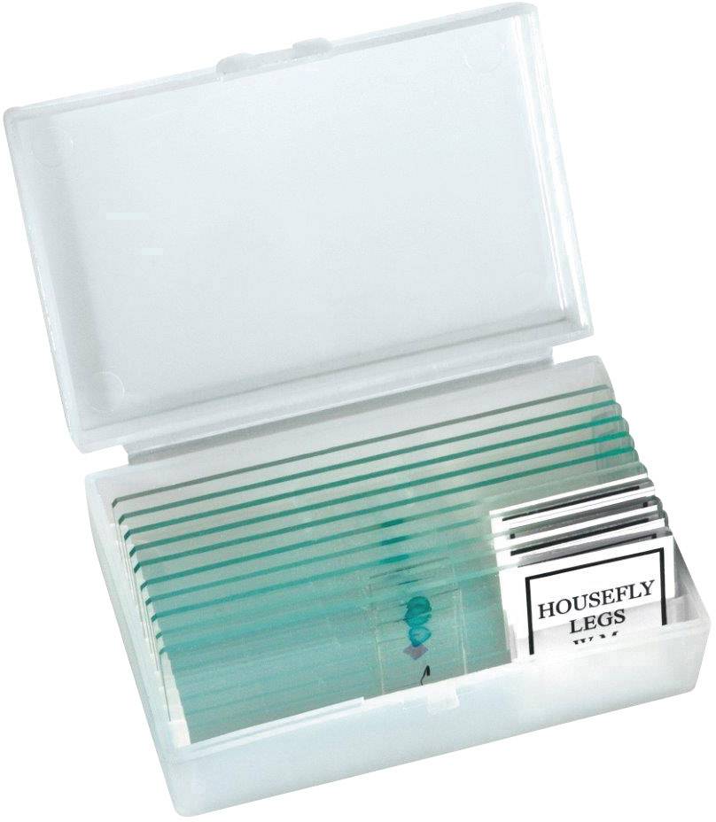 Eine offene Plastikbox mit mehreren Mikroskop-Objektträgern. Ein Etikett auf einem Objektträger zeigt 'Housefly Legs'.