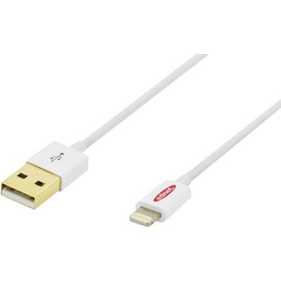 ednet Apple iPad/iPhone/iPod Anschlusskabel [1x USB 2.0 Stecker A - 1x Apple Lightning-Stecker] 1.00 m Weiß