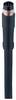 Belden 934636169-1 Sensor-/Aktor-Steckverbinder, konfektioniert M8 Stecker, gerade 2.00 m Polzahl Sensoren: 8 1 St.