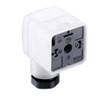 Ventilstecker GDM21F6-D24 Transparent GDM21F6-D24 Pole:2 + PE 934888011 Belden Inhalt: 50 St.