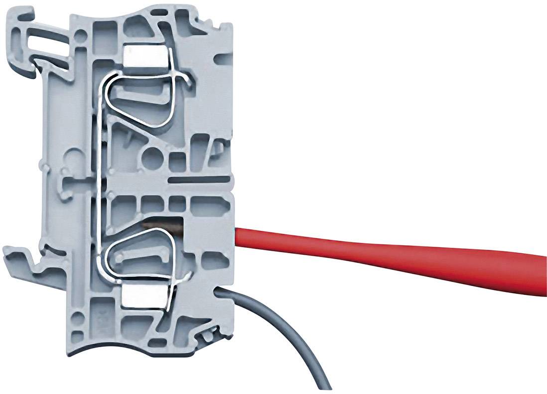 Elektrischer Klemmenblock mit zwei Adern, eine rot und eine grau, jeweils in einer separaten Klemme befestigt.