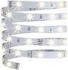 Paulmann YourLED ECO 70428 LED-Streifen-Basisset mit Stecker 12 V 3 m Warmweiß 1 St.