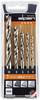 Alpen 600114100 Holz-Spiralbohrer-Set 5teilig 4 mm, 5 mm, 6 mm, 8 mm, 10 mm Zylinderschaft 1 Set