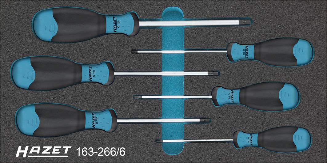 HAZET Werkstatt Schraubendreher-Set 8teilig TORX (163-266/6)