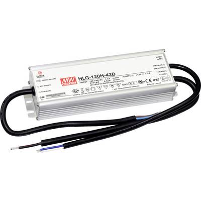 Ein rechteckiges elektrisches Gerät mit der Aufschrift 'HLG-120H-42B', Kabeln und Beschriftungen für Ein- und Ausgangsspannungen.
