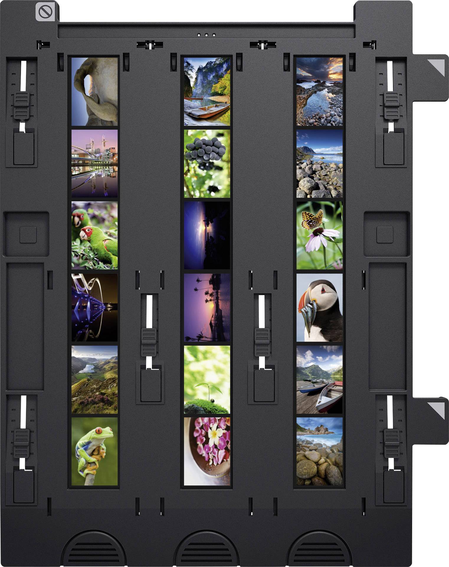 Eine Auswahl verschiedener Natur- und Landschaftsbilder in einem rechteckigen Layout. Die Fotos zeigen diverse Szenen aus der Natur.