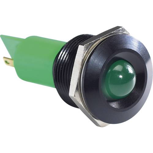 APEM Q19P1BXXG24AE LED-Signalleuchte Grün 24 V/DC, 24 V/AC