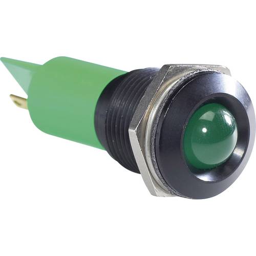 APEM Q16P1BXXG24E LED-Signalleuchte Grün 24 V/DC