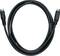 Ein schwarzes USB-Kabel mit Steckern an beiden Enden, aufgerollt in einem Kreis.