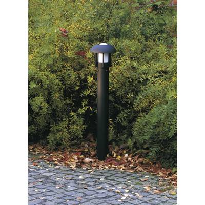 Eine schwarze Gartenlampe steht auf mit Herbstblättern bedeckten Pflastersteinen, umgeben von grünem und teils gelbem Buschwerk.