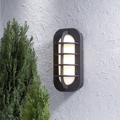 Wandleuchte mit schwarzem Gitterdesign beleuchtet eine graue Wand neben einem grünen Busch.