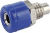 econ connect HOBBL Laborbuchse Buchse, Einbau vertikal Stift-Ø: 2.6 mm Blau 1 St.