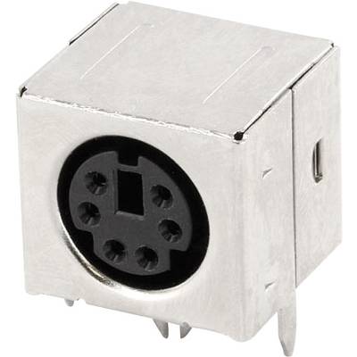 Ein rechteckiger, silberner Anschluss mit sechs runden Löchern in einem schwarzen Kreis für elektronische Geräte.