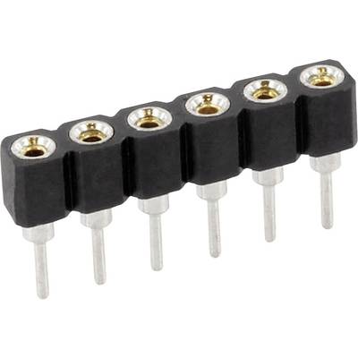 Schwarzer, sechspoliger Buchsenstreifen mit runden, vergoldeten Kontakten und silbernen Steckverbindungen, für elektronische Anwendungen.
