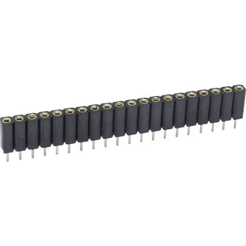 econ connect Buchsenleiste (Präzision) Anzahl Reihen: 1 Polzahl je Reihe: 10 MP70S10 1 St.