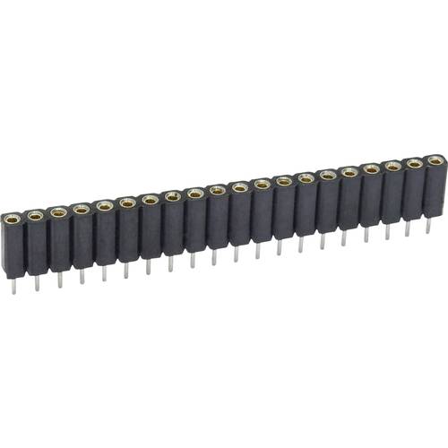 econ connect Buchsenleiste (Präzision) Anzahl Reihen: 1 Polzahl je Reihe: 20 MP70S20 1 St.