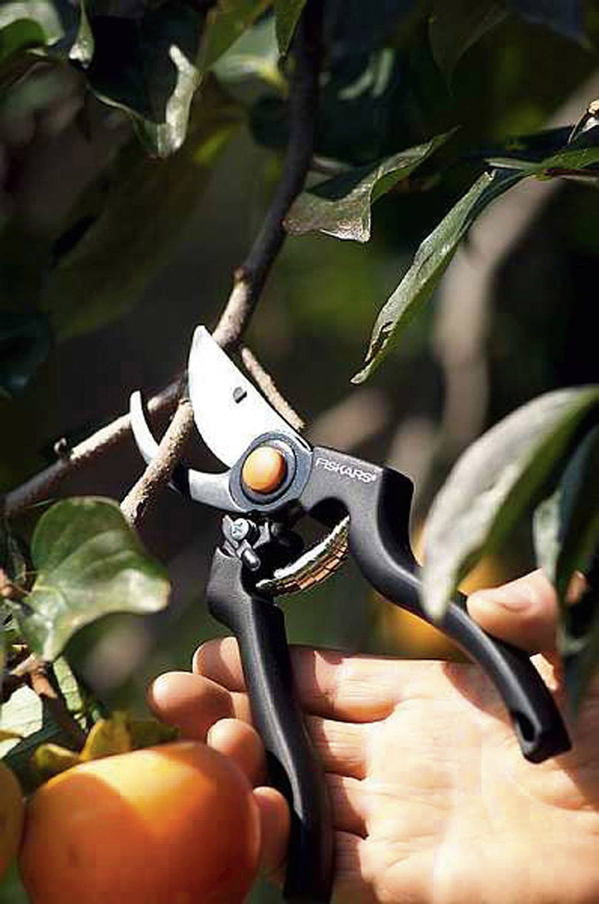 Fiskars Gartenschere 230 mm Bypass-1