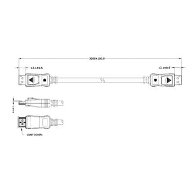 Zeichnung eines Kabels mit USB-Steckern an beiden Enden, Länge 3000±100 mm. Seitenansicht und Querschnitt der Stecker gezeigt.