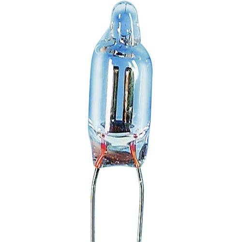 Barthelme 00081013 Glimmlampe 115 V, 230 V 0.25 W Drahtenden Klar 1 St.