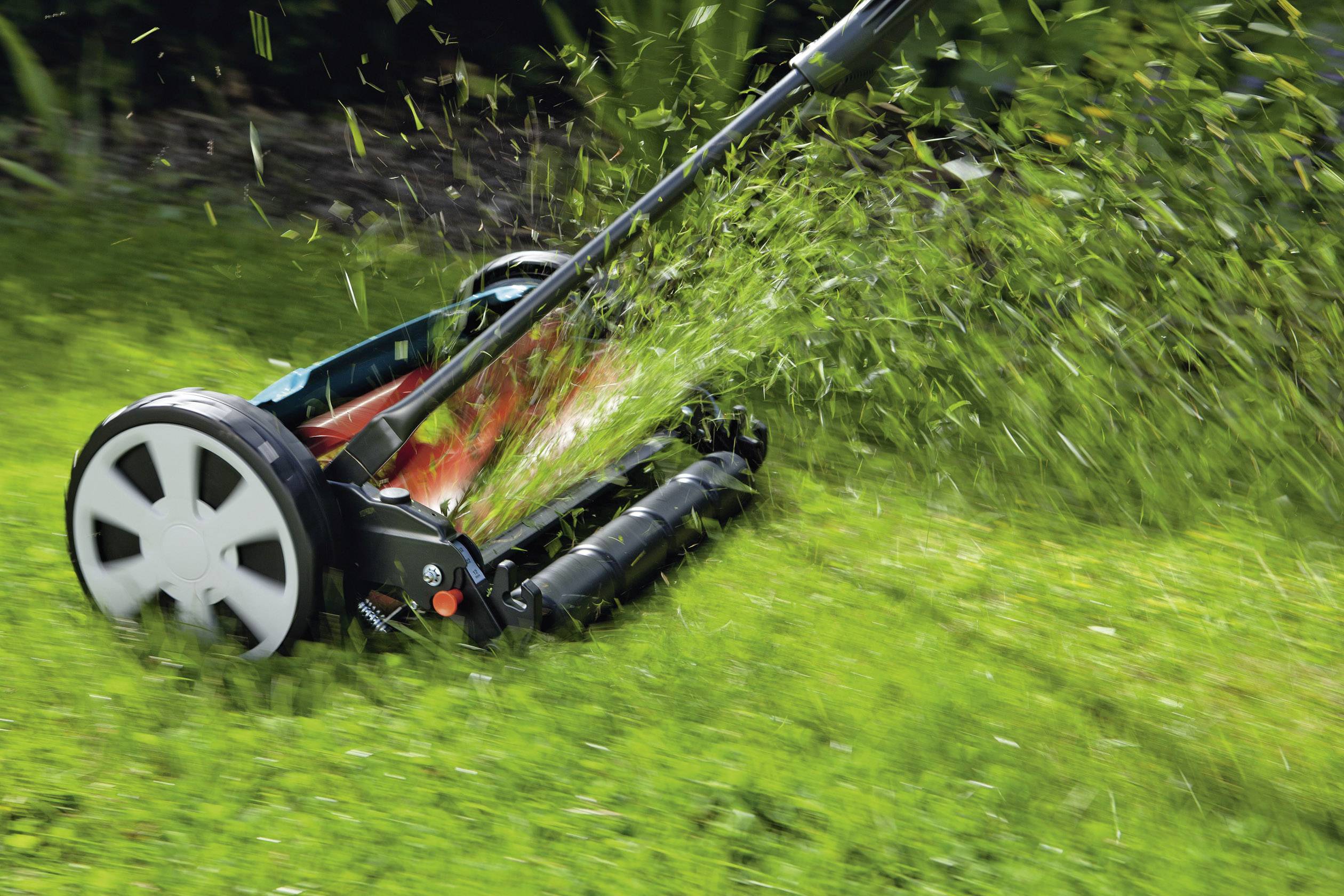 Ein Handrasenmäher schneidet Gras in einem Garten. Gras wird in einer gleichmäßigen Spur ausgeworfen, was auf frisches Mähen hinweist.