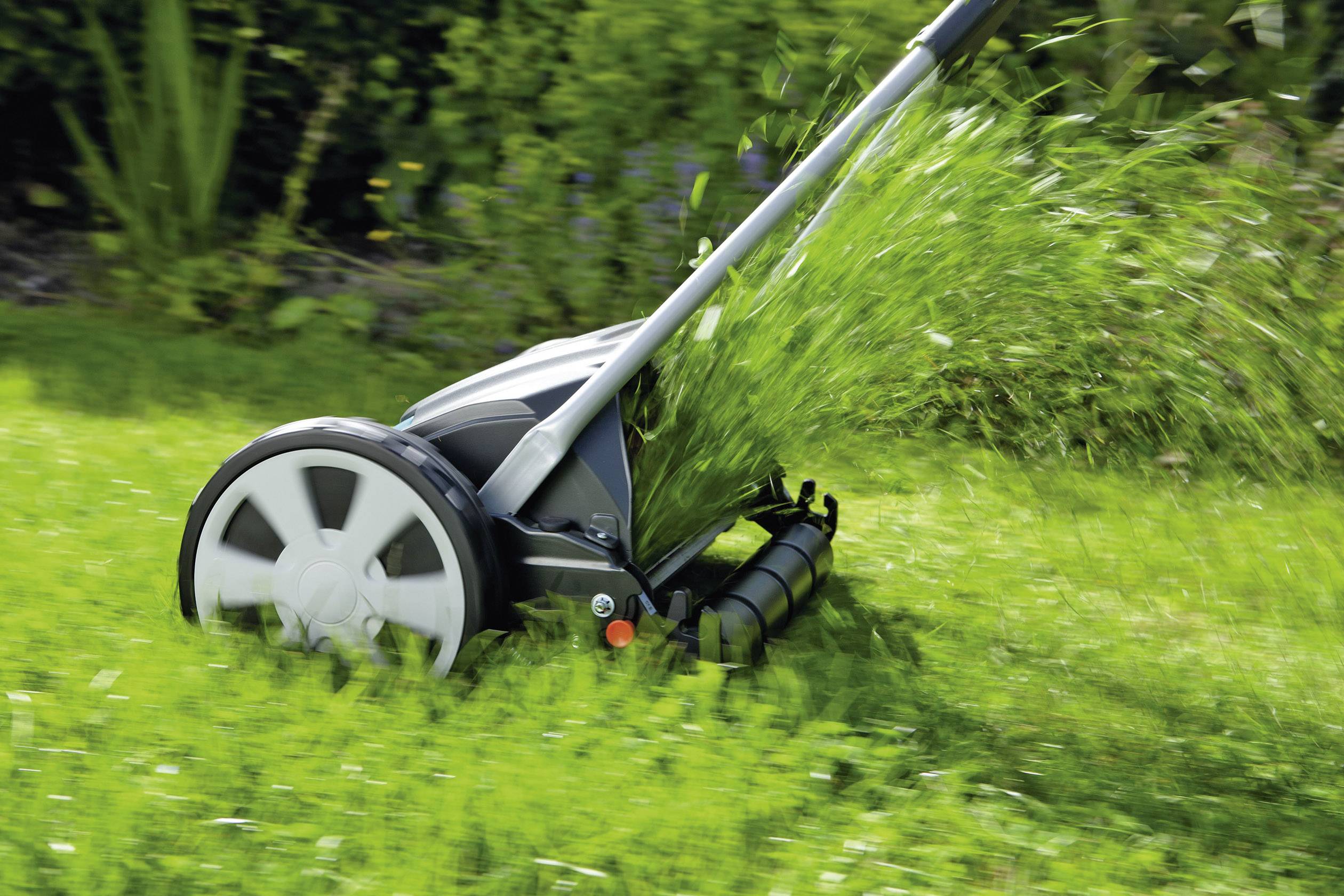 Ein Handrasenmäher schneidet hohes, grünes Gras auf einem Rasen. Frische Grasreste fliegen in die Luft hinter dem Mäher.