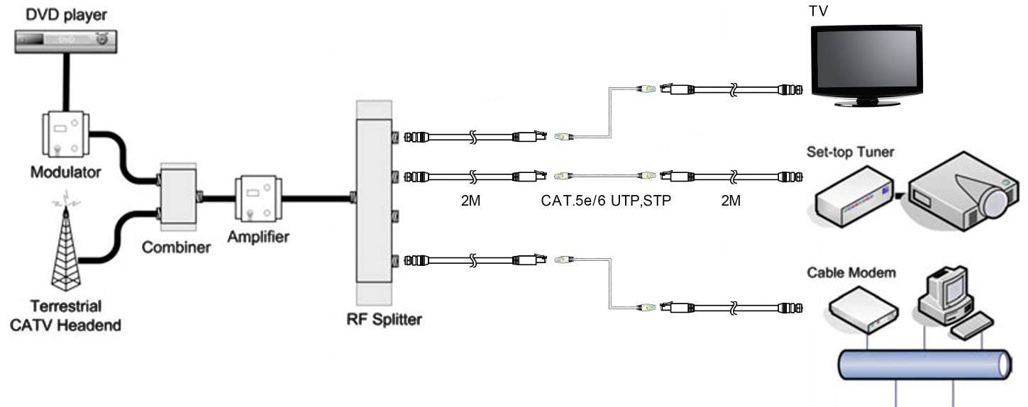 SpeaKa Professional F-Stecker über Netzwerkkabel RJ45 30 m-5
