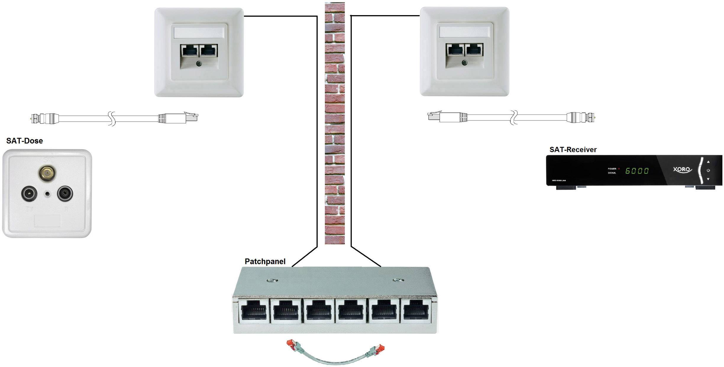 SpeaKa Professional F-Stecker über Netzwerkkabel RJ45 30 m-6