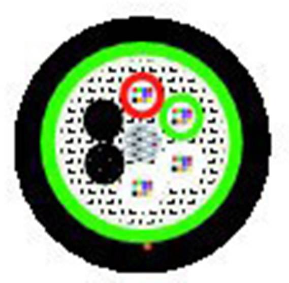 Querschnitt eines Kabels: Innerhalb einer grünen Umrandung sind mehrere unterschiedlich farbige Leitungen und Punkte sichtbar.