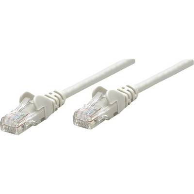 Zwei weiße Ethernet-Kabel mit transparenten Steckern, nebeneinander liegend, zeigen ihre farbigen inneren Drähte.