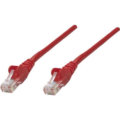Zwei rote Netzwerkkabel mit RJ45-Steckern, die für Computer- und Internetverbindungen verwendet werden.