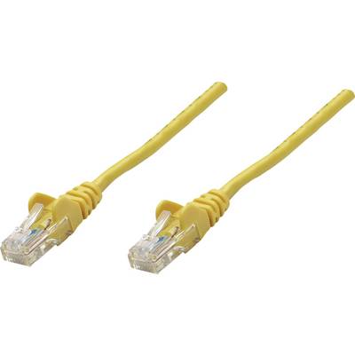 Gelbes Ethernet-Kabel mit zwei RJ45-Steckern auf weißem Hintergrund.