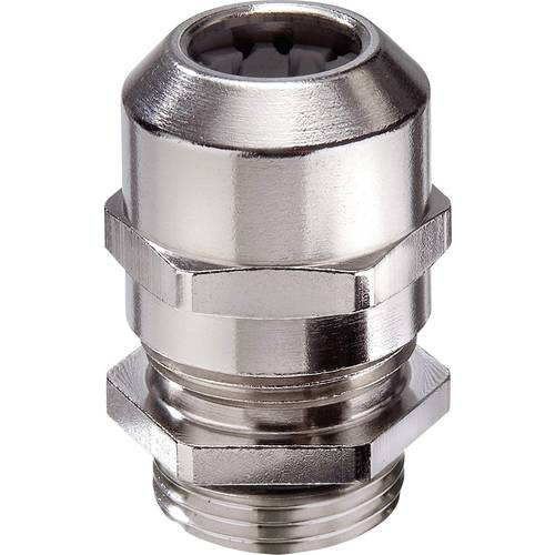 Wiska 10101941 Kabelverschraubung Erweiterung M50 M63 Messing Messing 10 St.