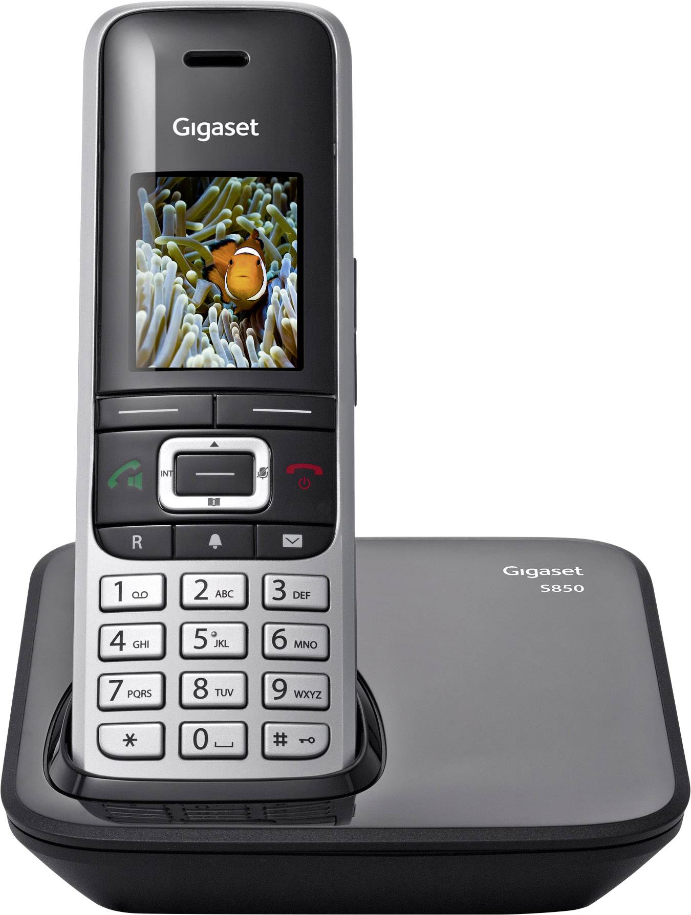 Gigaset schnurloses Telefon auf Ladestation mit Farbdisplay zeigt ein Clownfisch-Bild.