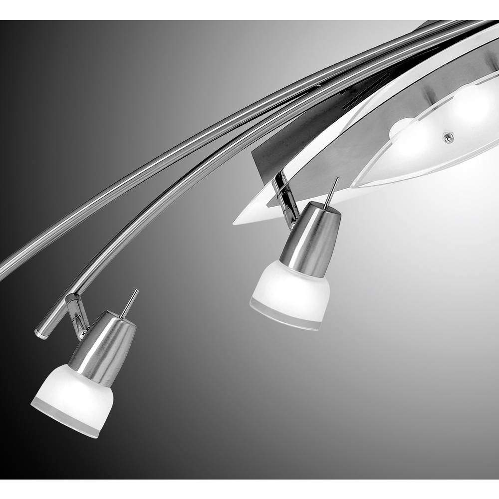 Paul neuhaus meral Paul neuhaus meral