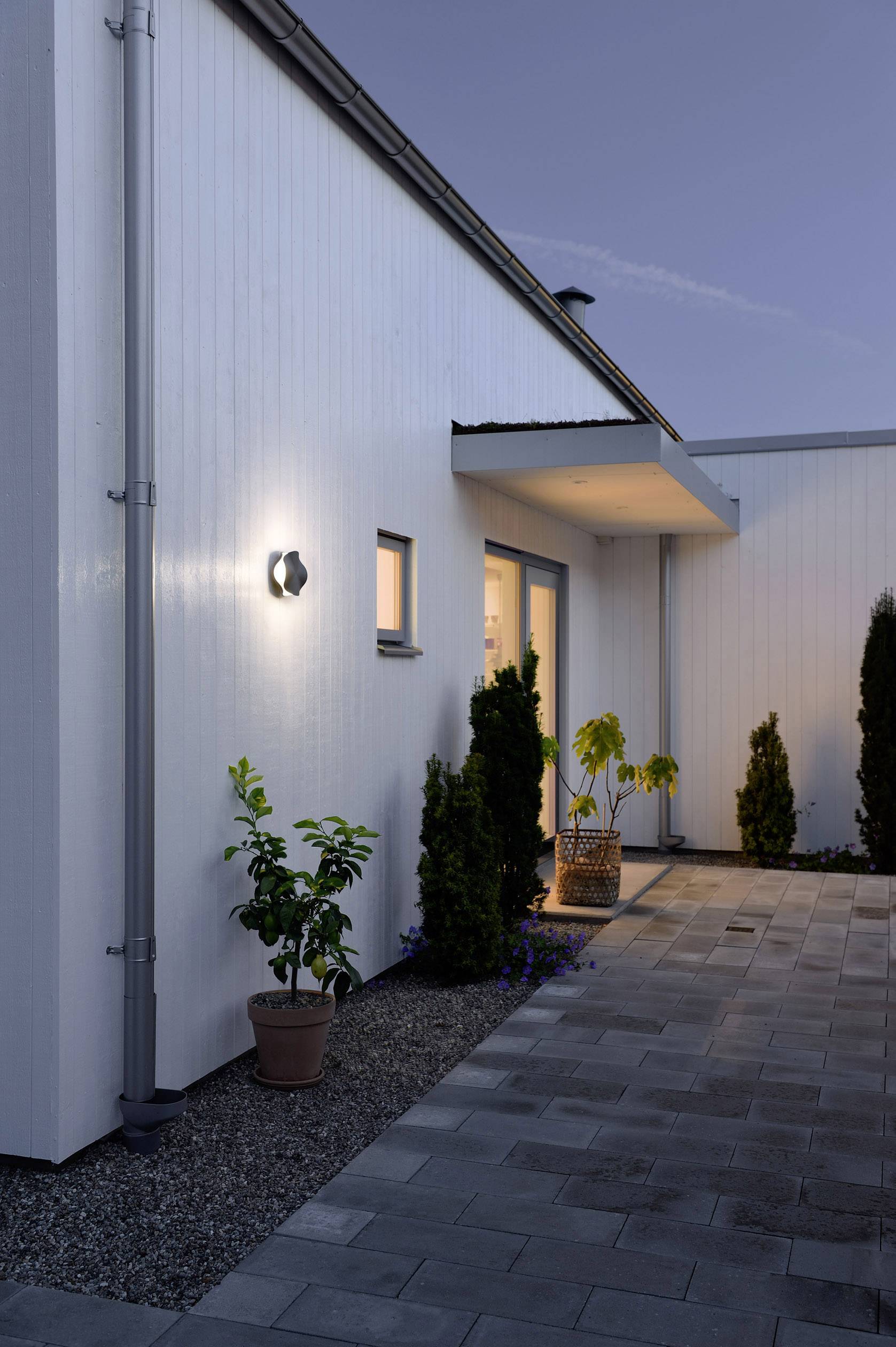 Moderne weiße Hausfassade bei Dämmerung mit eingeschalteter Wandlampe, mehreren Pflanzen in Töpfen, gepflastertem Weg.