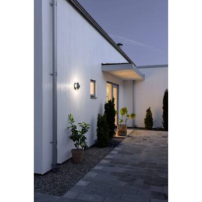 Moderne weiße Hausfassade bei Dämmerung mit eingeschalteter Wandlampe, mehreren Pflanzen in Töpfen, gepflastertem Weg.