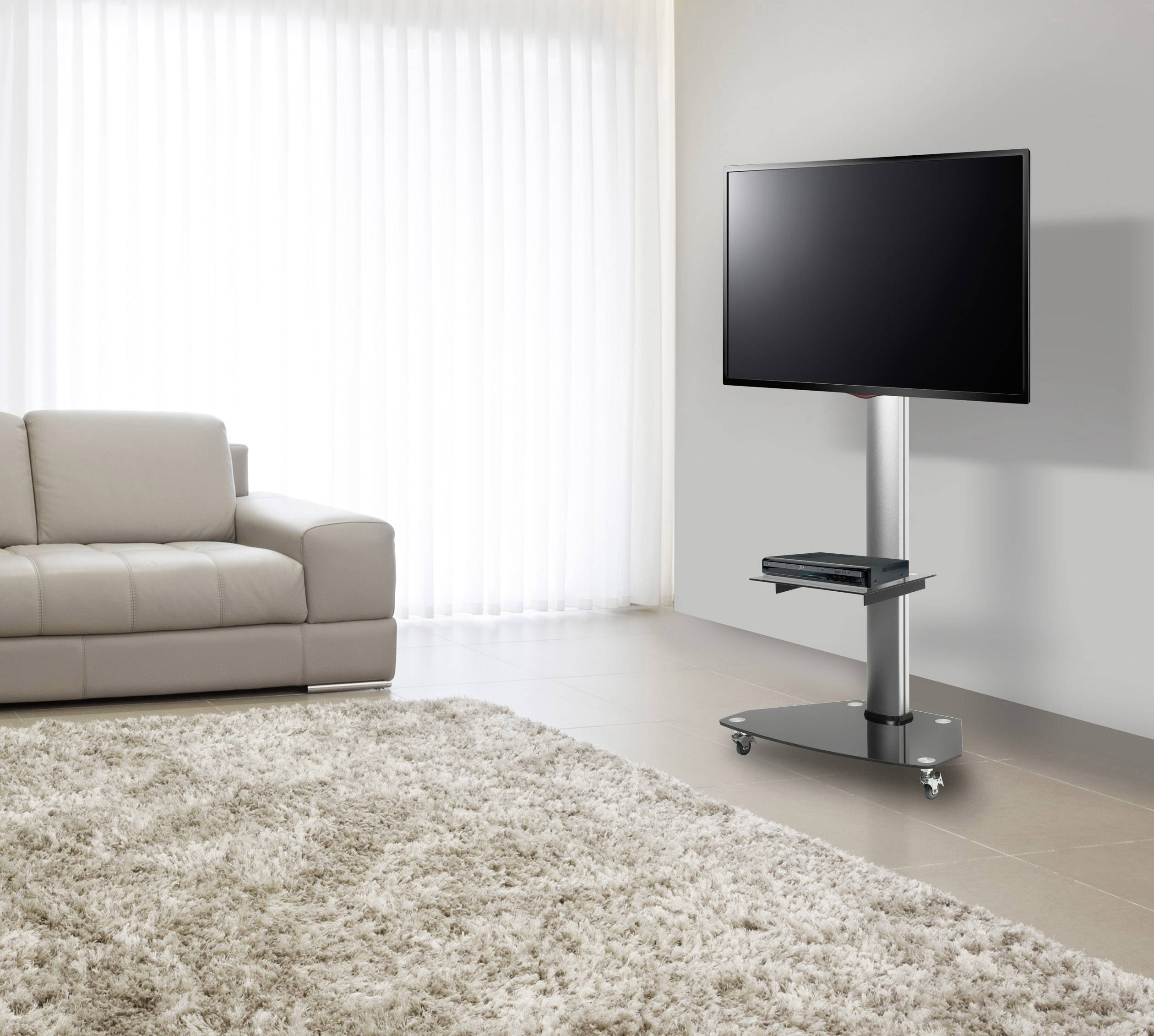 Ein modernes Wohnzimmer mit einem grauen Sofa, einem flachen Fernseher auf einem Rollständer und einem hellen Teppich.