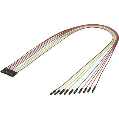 Renkforce  Jumper-Kabel Raspberry Pi, Banana Pi, Arduino [10x Drahtbrücken-Buchse - 10x Drahtbrücken-Buchse] 0.50 m Bunt