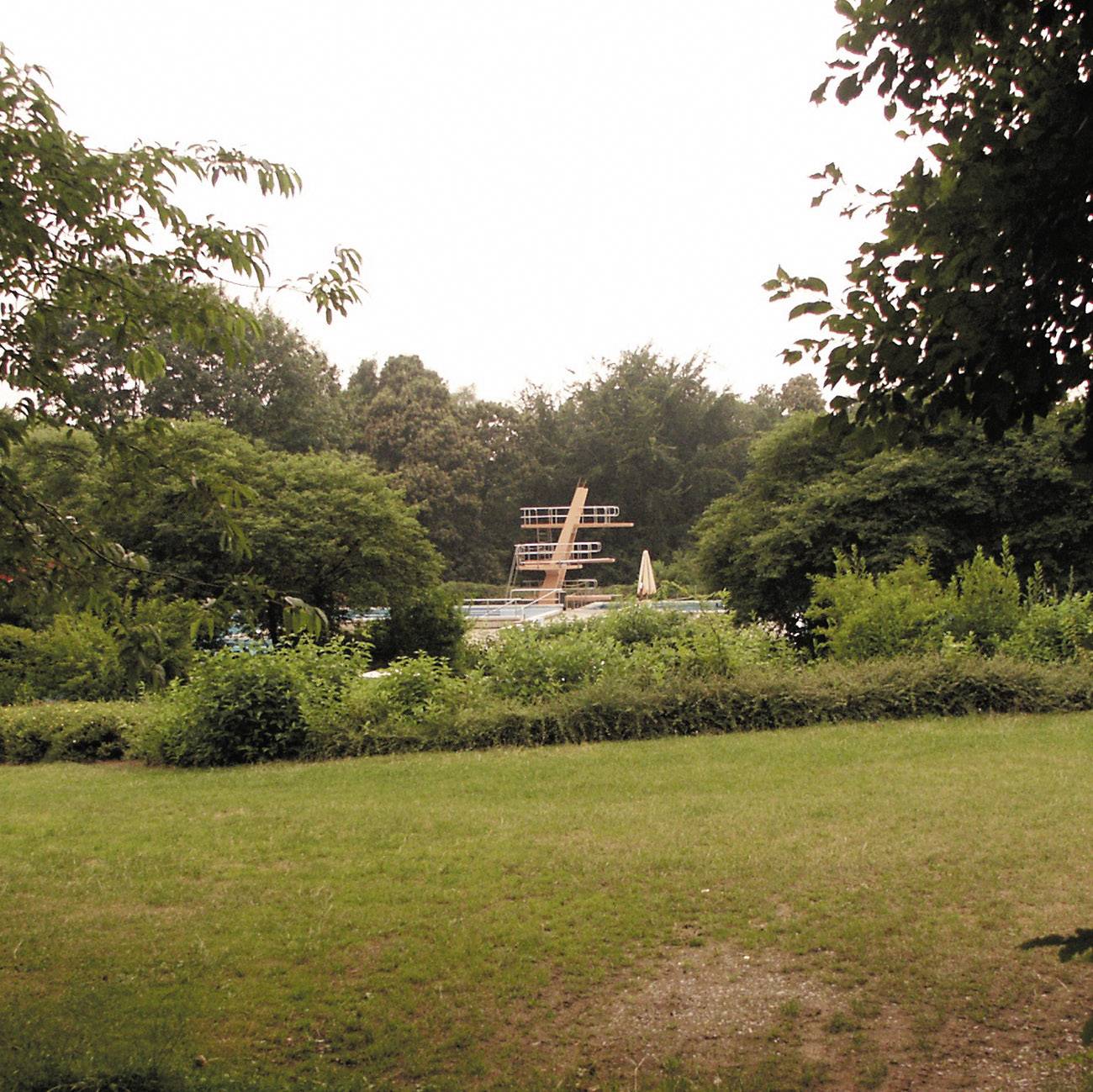 Grüne Wiese mit Bäumen und einem weit entfernten Schwimmbecken, umgeben von dichter Vegetation und einem leeren Sprungturm.