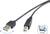 USB-Kabel mit zwei Steckertypen: USB-A und USB-B. Das Kabel ist reversibel, betont durch ein Symbol mit doppeltem Pfeil.