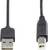 Ein schwarzes USB-Kabel mit einem USB-A-Stecker auf der linken Seite und einem USB-B-Stecker auf der rechten Seite vor weißem Hintergrund.