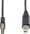 USB-Kabel mit rechteckigem USB-A-Stecker und quadratischem USB-B-Stecker an den Enden.