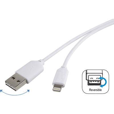 Renkforce Apple iPad/iPhone/iPod Anschlusskabel [1x USB 2.0 Stecker A - 1x Apple Lightning-Stecker] 1.00 m Weiß