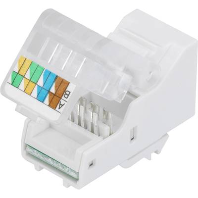 TRU COMPONENTS SM-2014H8C5E Modularbuchse Buchse, gerade Grau 1 St.