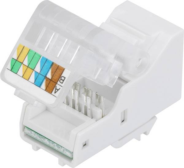 TRU COMPONENTS SM-2014H8C5E Modularbuchse Buchse, gerade Grau 1 St.