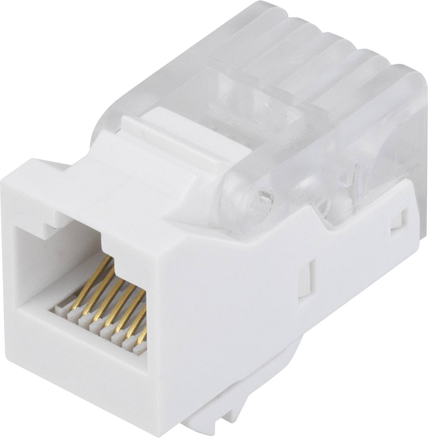 Ein weißer RJ45-Netzwerksteckeradapter mit durchsichtiger Oberseite, geeignet für Ethernet-Verbindungen.